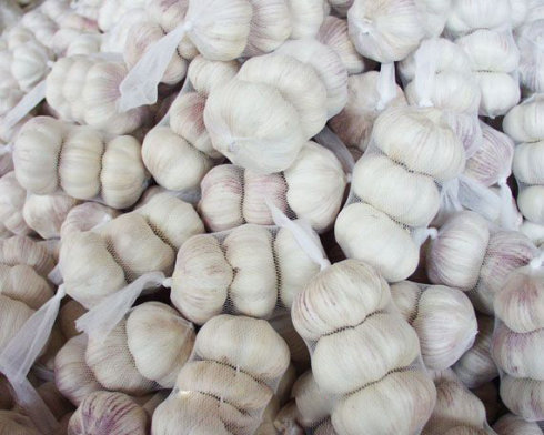 white garlic Made in Korea